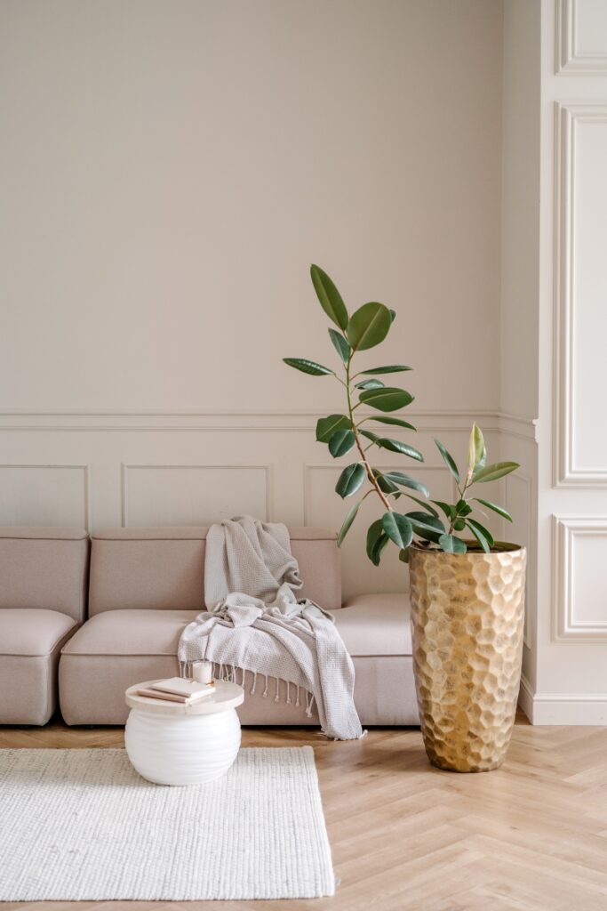 Minimalist living room with soft pink sofa and gold planter, reflecting the peace and simplicity that comes from decluttering after 50.